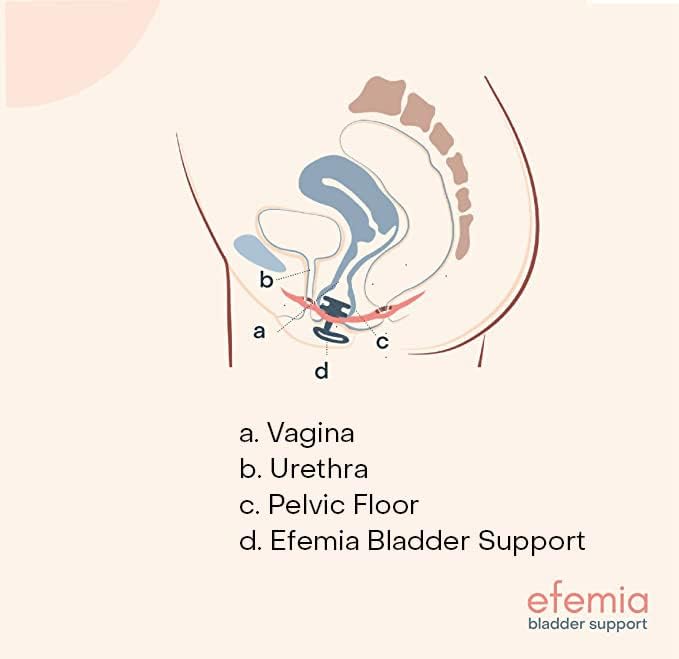 Efemia 'Start Set'