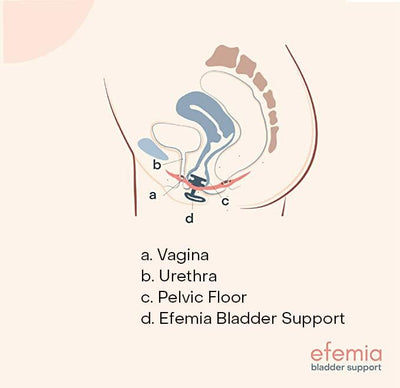 Efemia 'Start Set'